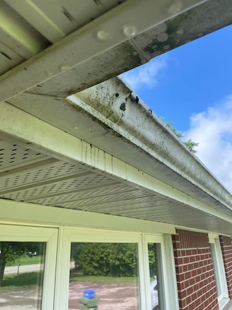 Gutter & Eavestrough Cleaning in Ontario: Best Times to Book (Spring vs. Fall)