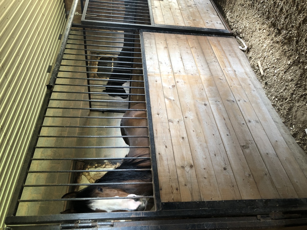 Buying or Selling in Paris Ontario 