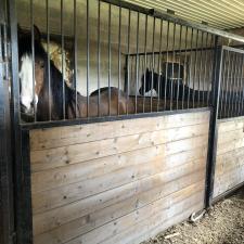 Buying-or-Selling-in-Paris-Ontario 2